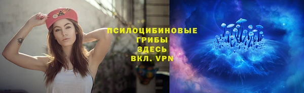 apvp Карталы